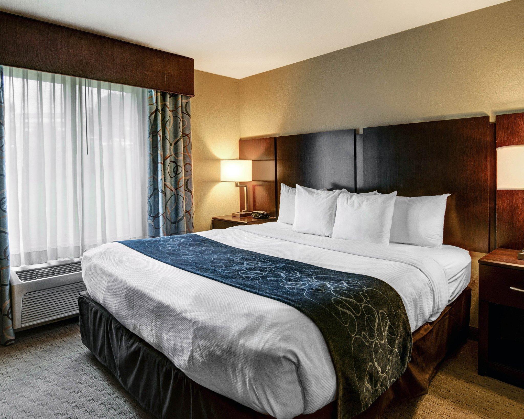 Comfort Suites Near Hot Springs Park מראה חיצוני תמונה